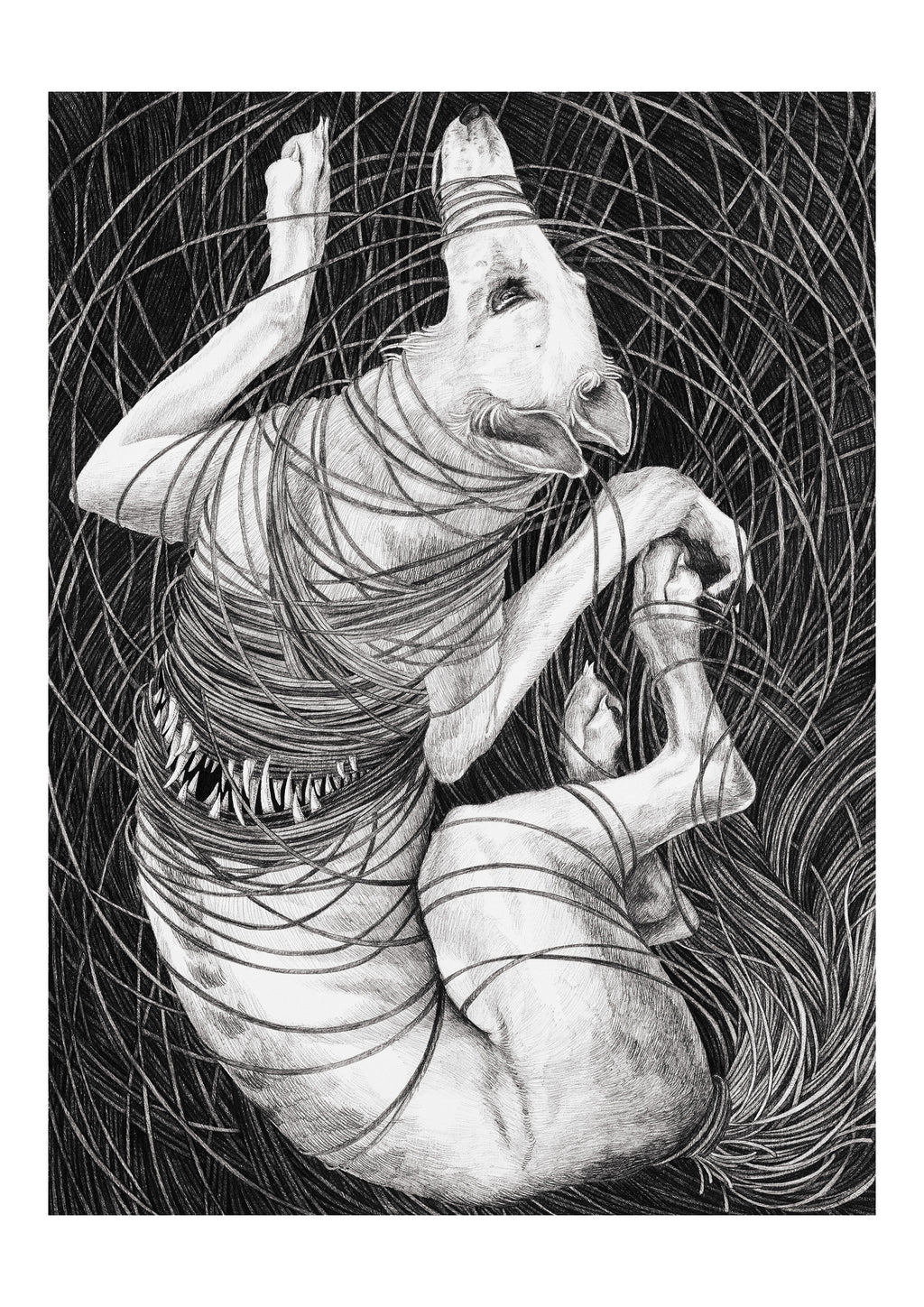 Sara Fasolin - One knot after another