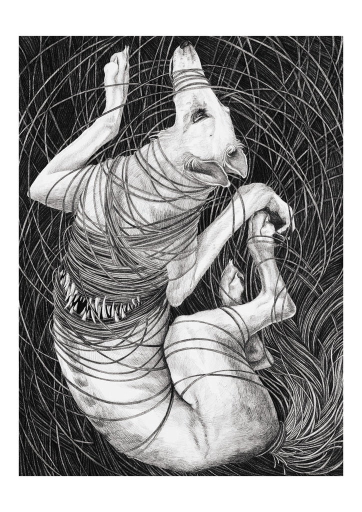 Sara Fasolin - One knot after another