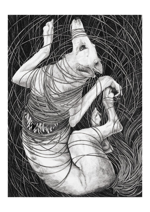 Sara Fasolin - One knot after another