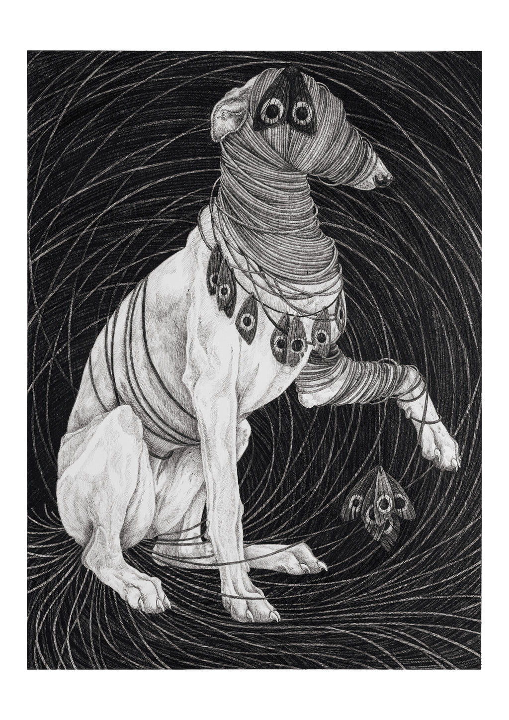 Sara Fasolin - Face the wounds you carry