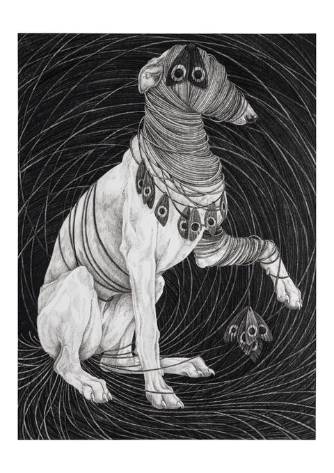 Sara Fasolin - Face the wounds you carry