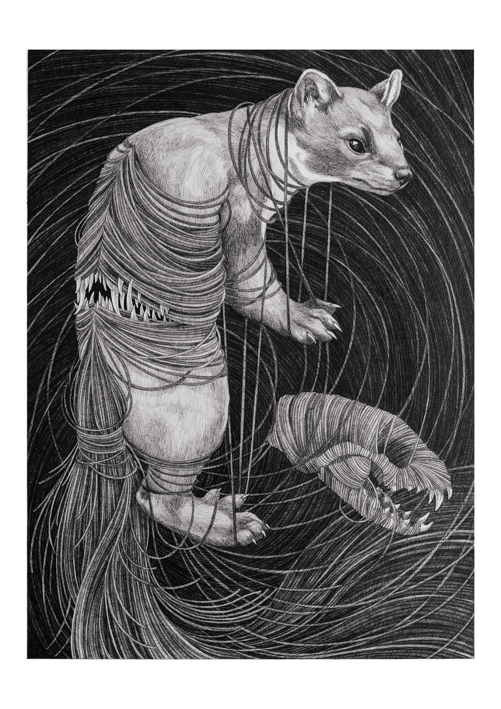 Sara Fasolin - Who whispers in your ears?