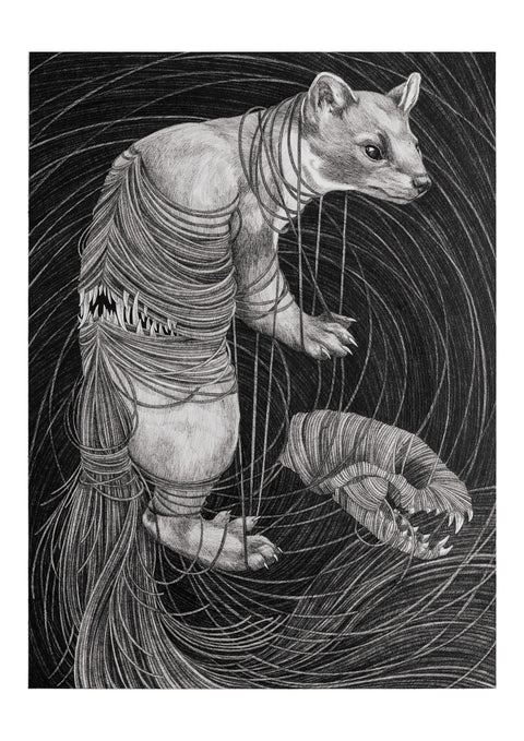 Sara Fasolin - Who whispers in your ears?
