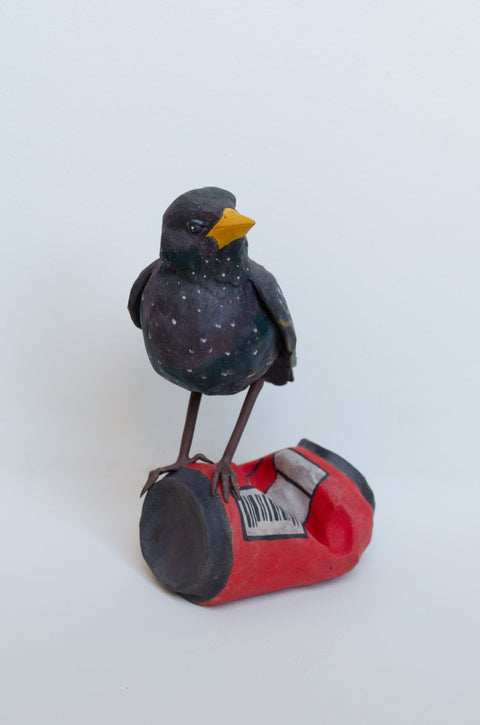 Sarah Conti - European Starling