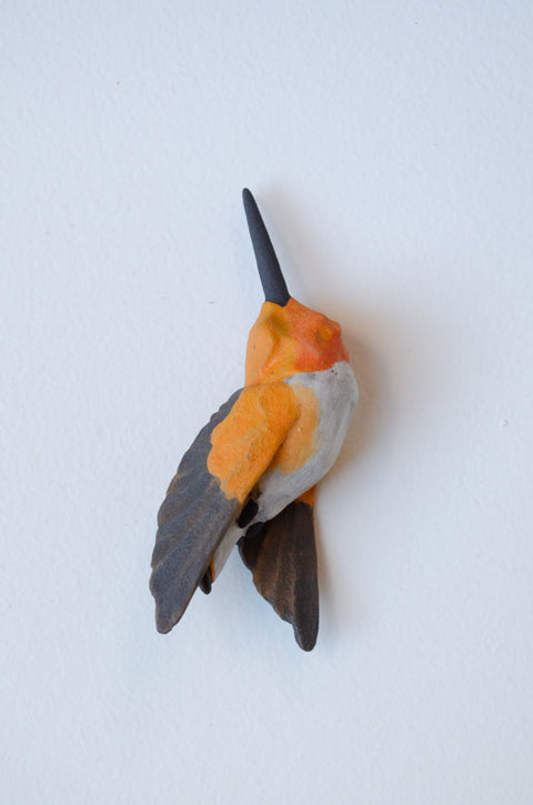Sarah Conti - Rufous Hummingbird