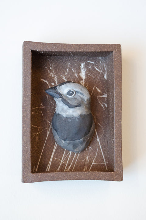 Sarah Conti - Thick-billed Longspur