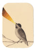 Graham Franciose - Bird Song I