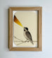 Graham Franciose - Bird Song I