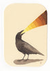 Graham Franciose - Bird Song II