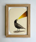 Graham Franciose - Bird Song II