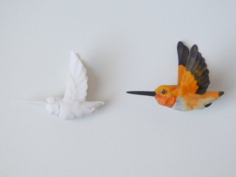 Sarah Conti - Allen’s Hummingbird Pair