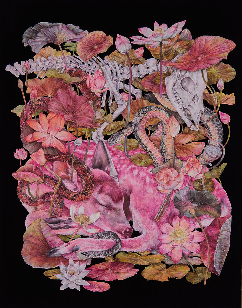 Fumi Nakamura - Soulseeker (Lotus)