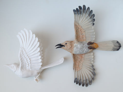 Sarah Conti - LeConte’s Thrasher Pair