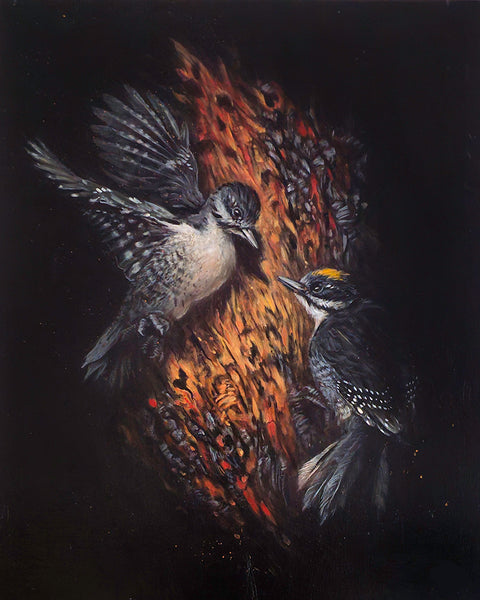 Jenn Joslin - Old Flames