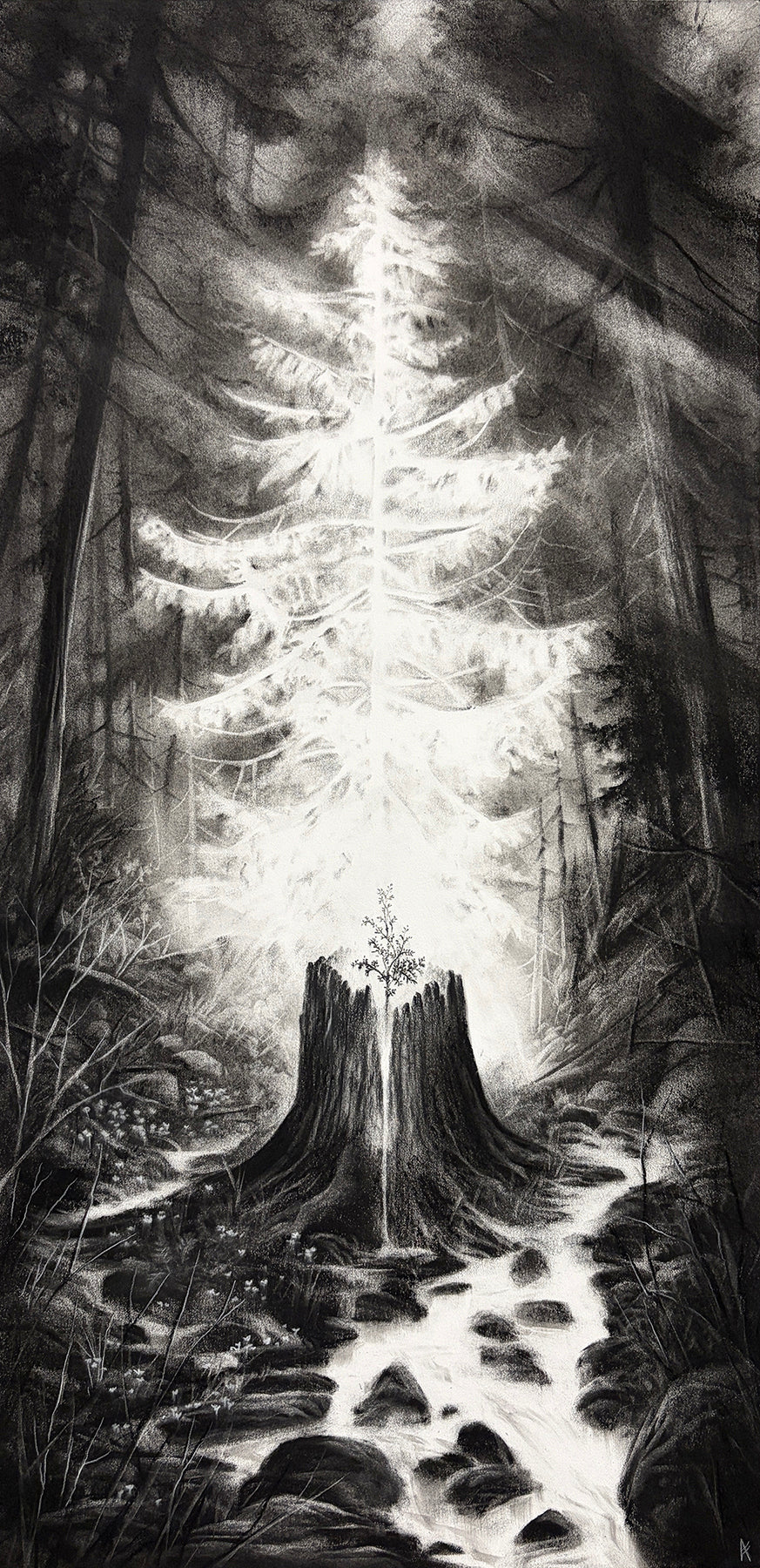 Amory Abbott - "Nurse Stump and Western Red Cedar Sapling"