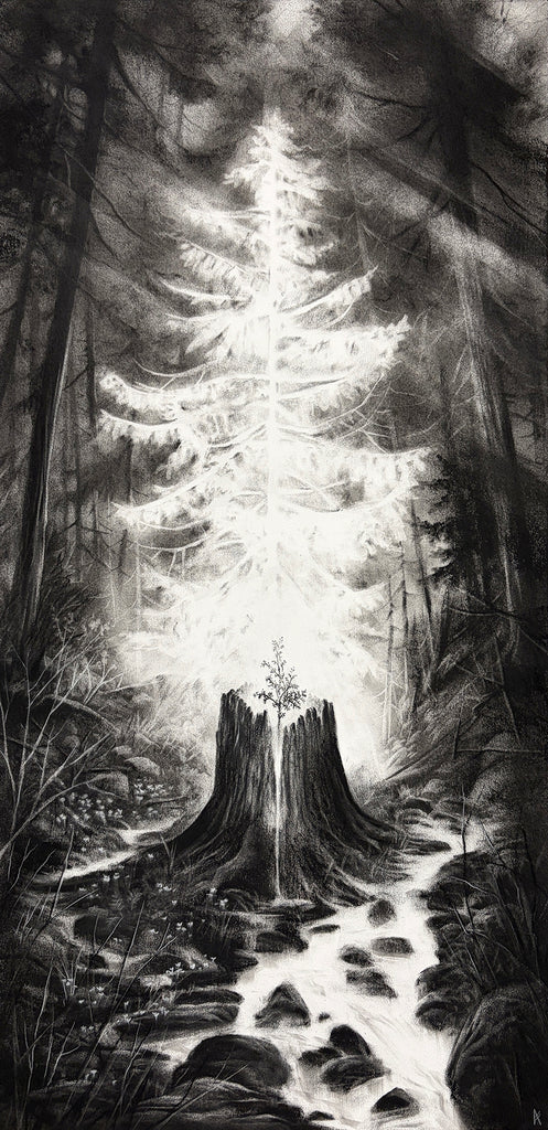 Amory Abbott - "Nurse Stump and Western Red Cedar Sapling"