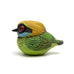 Calvin Ma - Chubby Bird: Asian Green Bee-eater