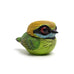 Calvin Ma - Chubby Bird: Asian Green Bee-eater