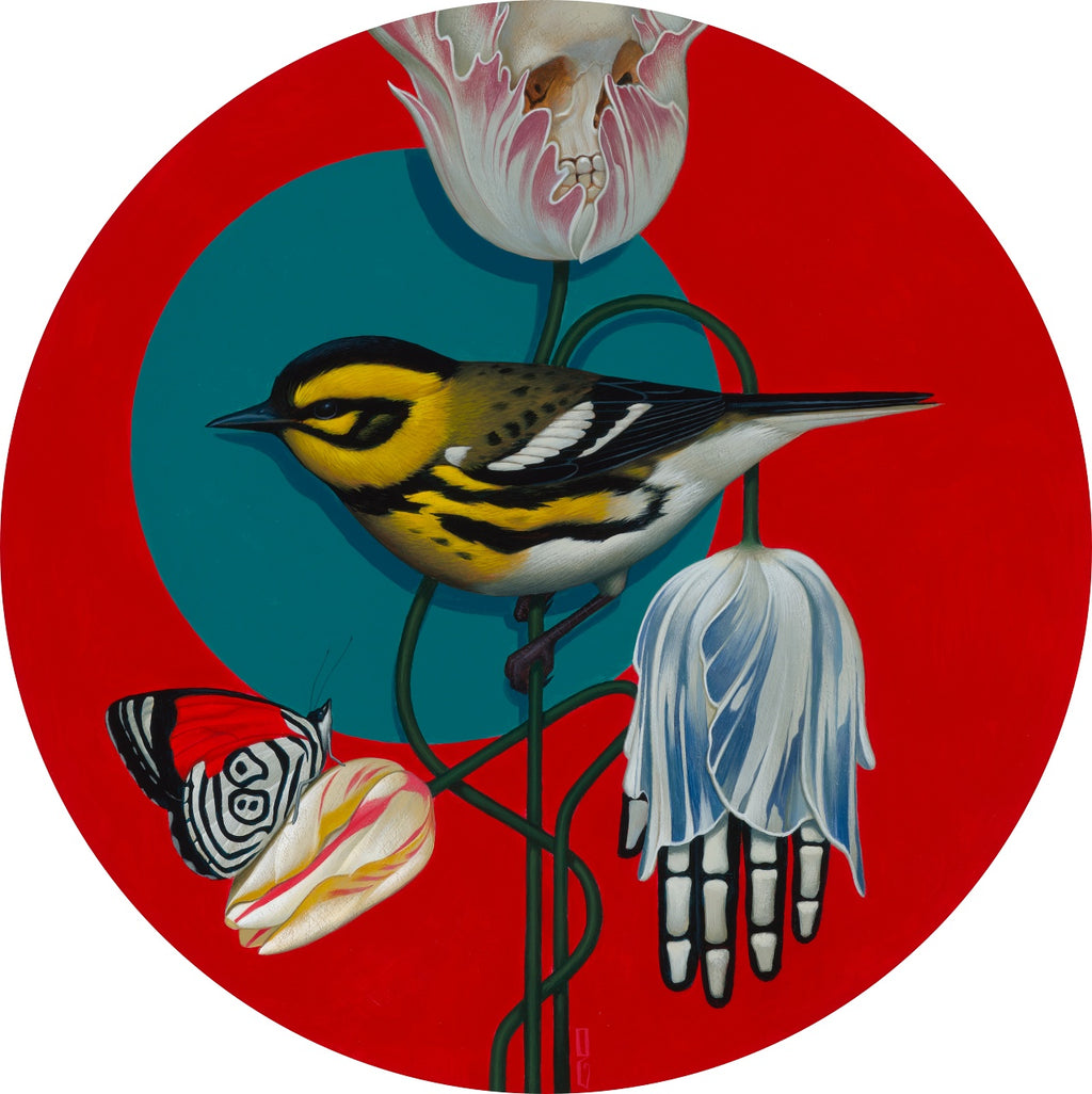 Gustavo Rimada - Bird 1