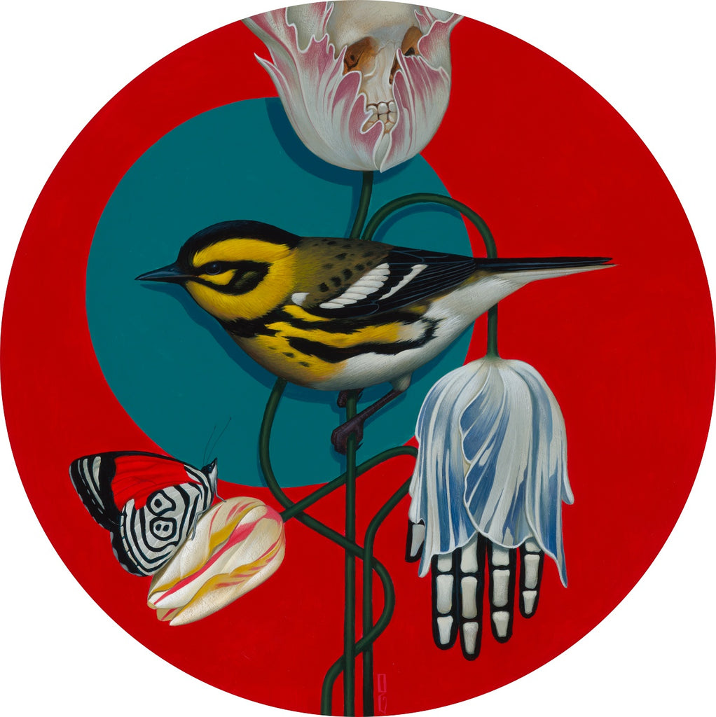 Gustavo Rimada - Bird 1