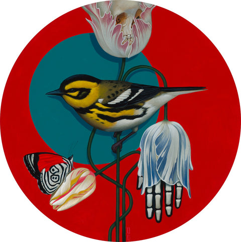 Gustavo Rimada - Bird 1