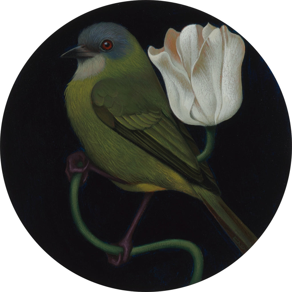 Gustavo Rimada - Bird 2
