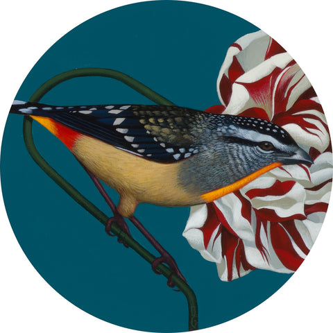 Gustavo Rimada - Bird 3