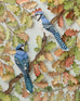Nayan & Venus - BLUE JAY IN WHITE OAK CANOPY