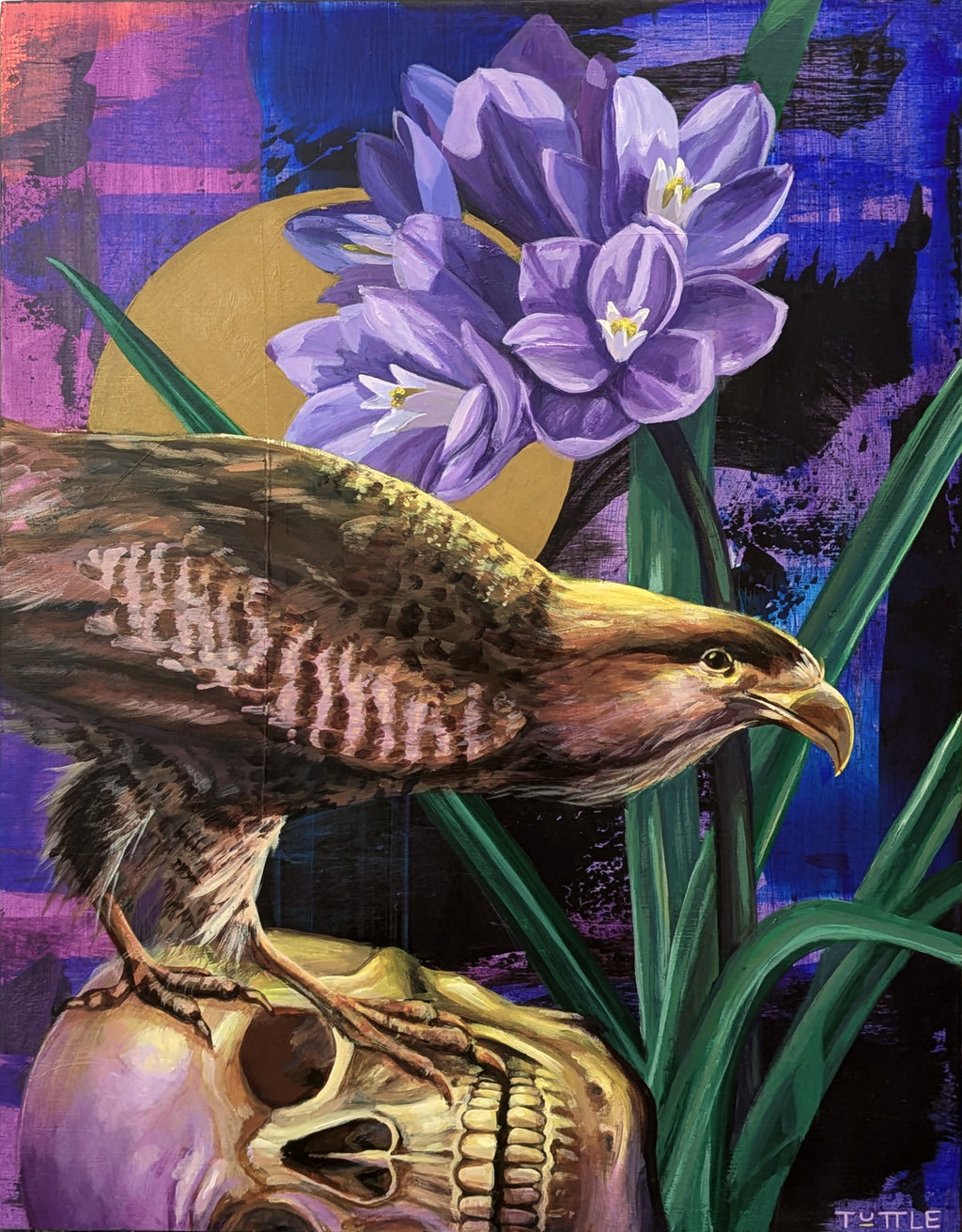Sophy Tuttle - The Mourning Caracara's Revenge
