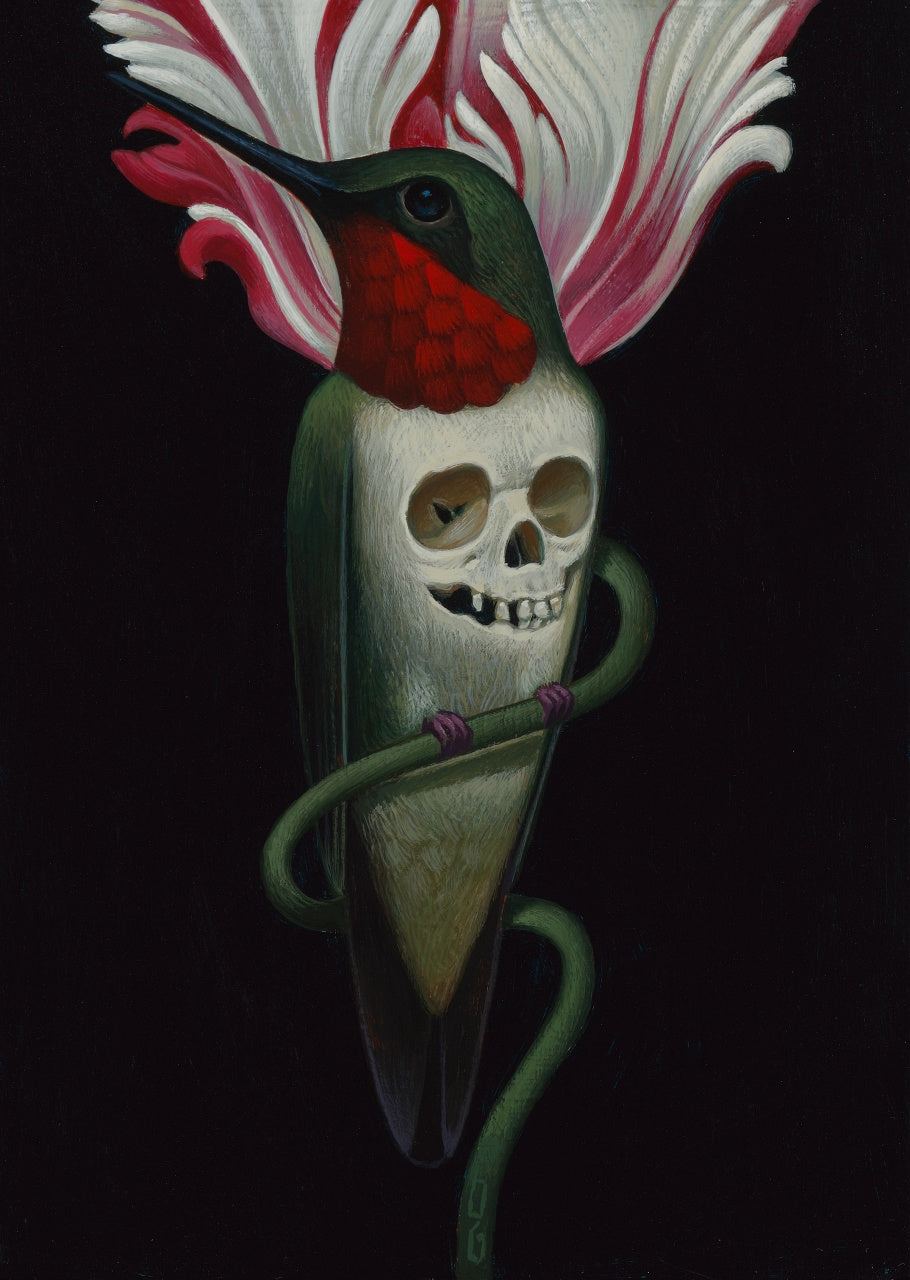 Gustavo Rimada - Colibri