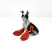 Debra Broz - Lobster Dog