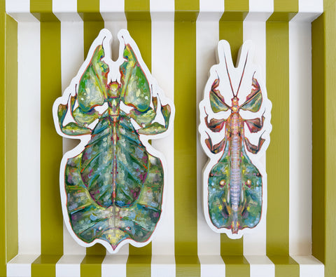 Emily Furr - Female Leaf Bug & Male Leaf Bug