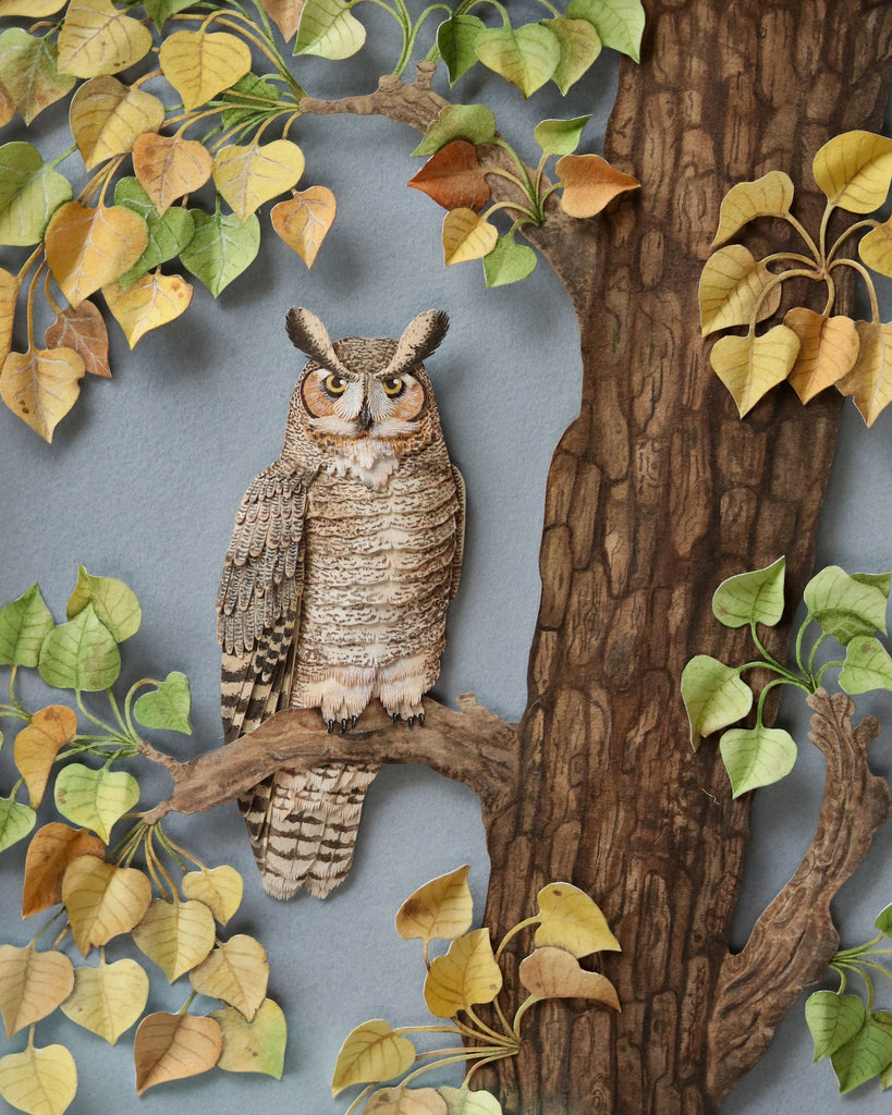 Nayan & Venus - GREAT HORNED OWL IN COTTONWOOD CANOPY