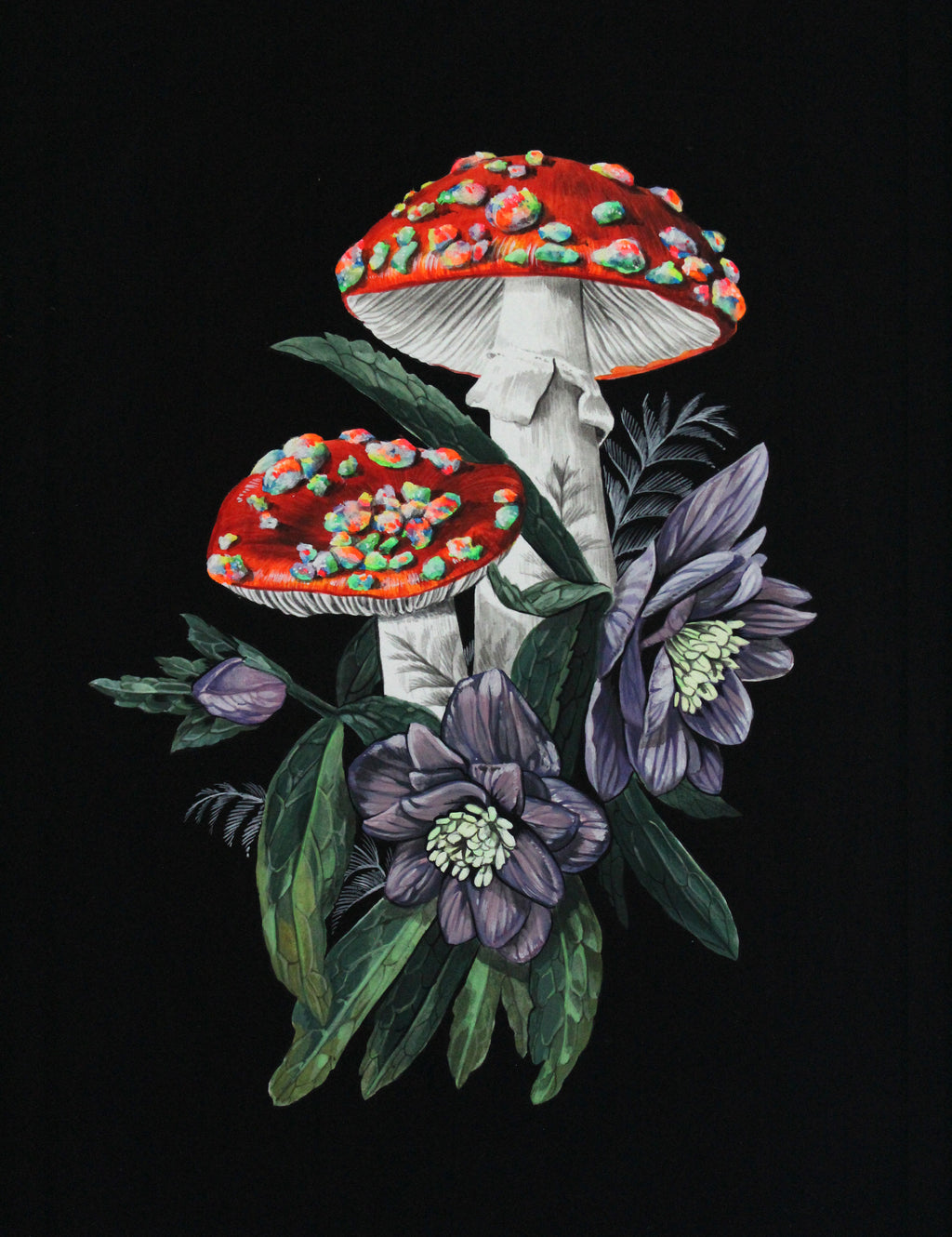 Meg Adamson - Opal Mushrooms with Hellebore