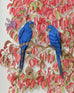 Nayan & Venus - HYACINTH MACAW IN MONKEYPOT CANOPY