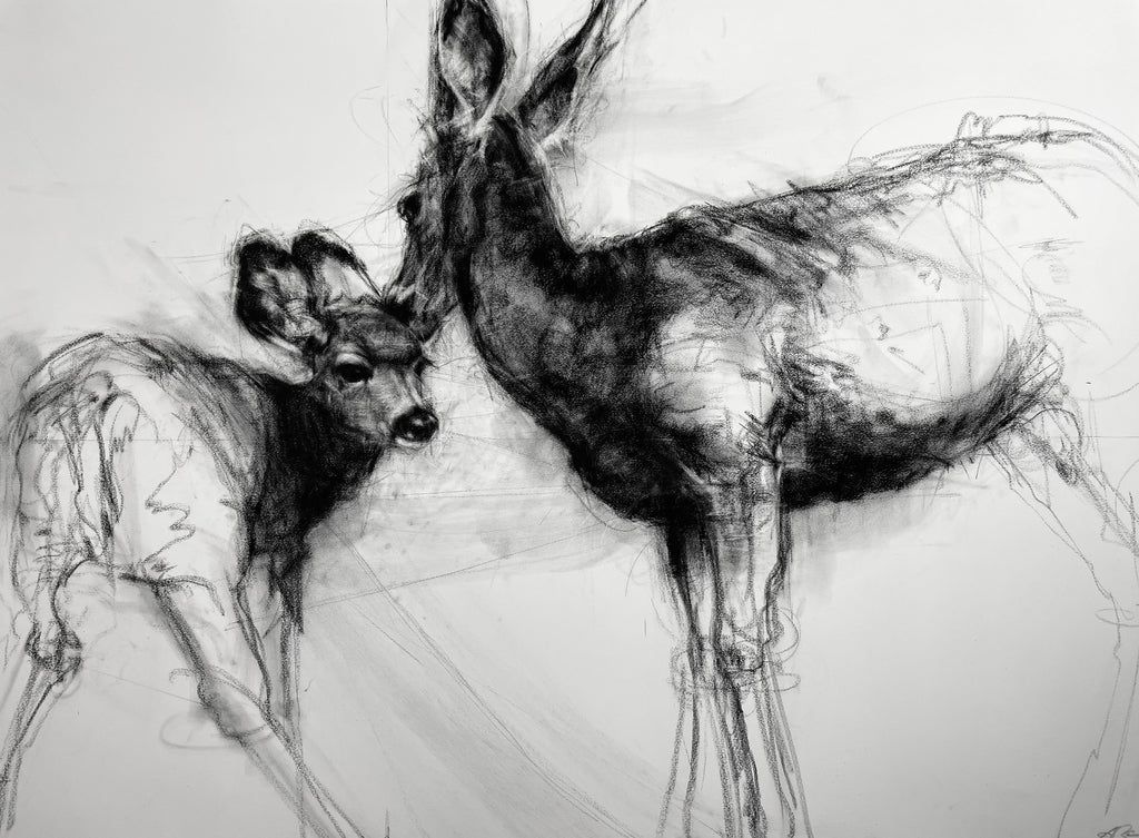 April Coppini - Mule Deer Doe & Fawn