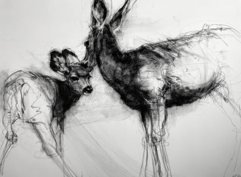 April Coppini - Mule Deer Doe & Fawn