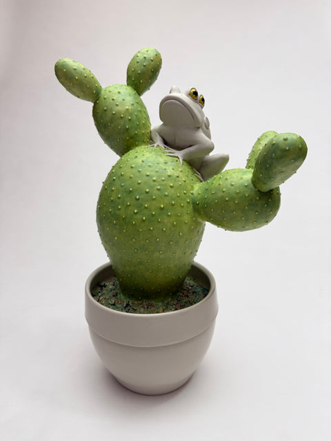 Bethany Krull - Frog Anomaly