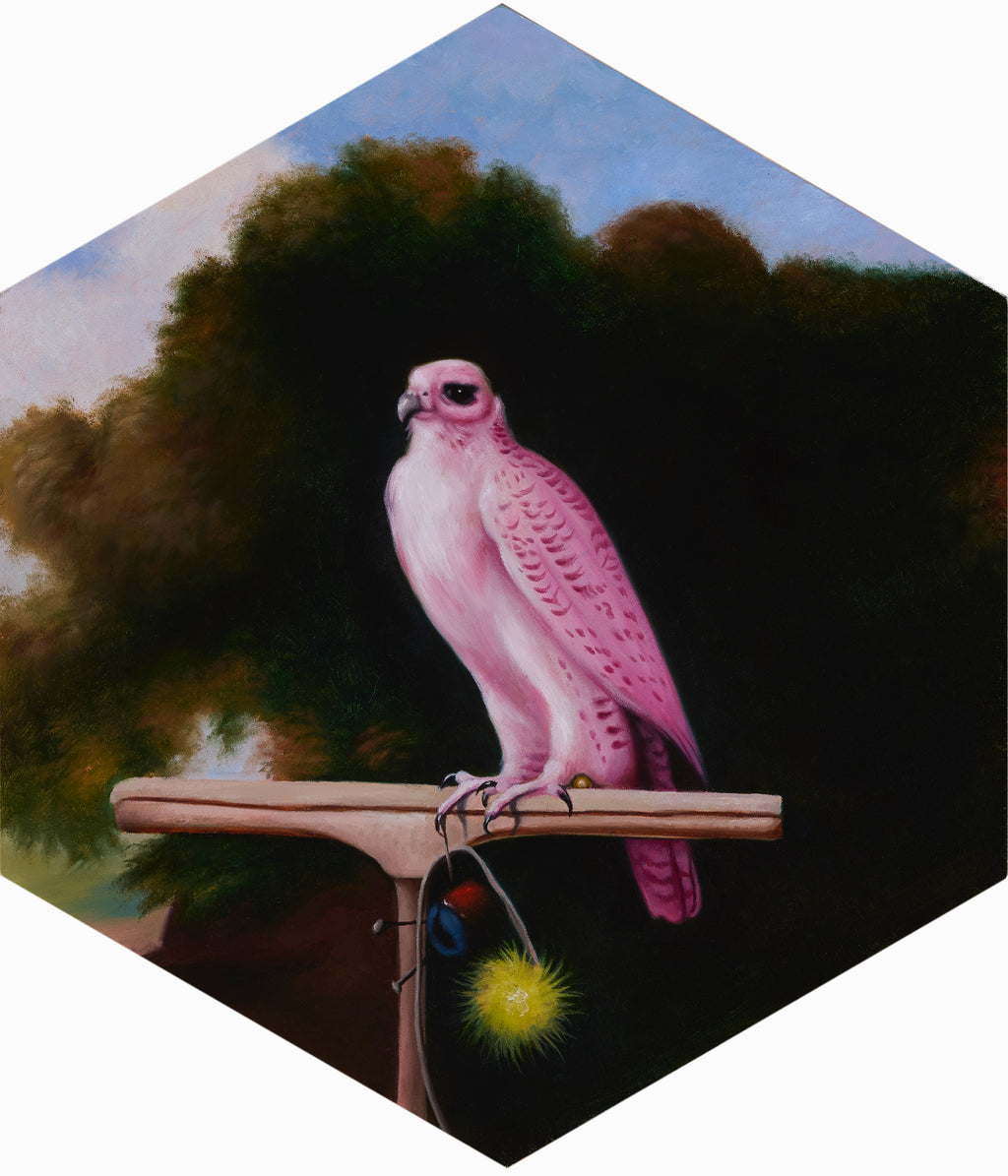 Juri Umagami - Greenland Falcon