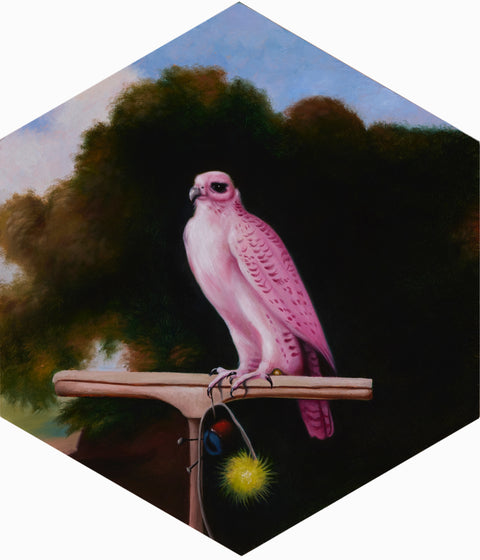 Juri Umagami - Greenland Falcon