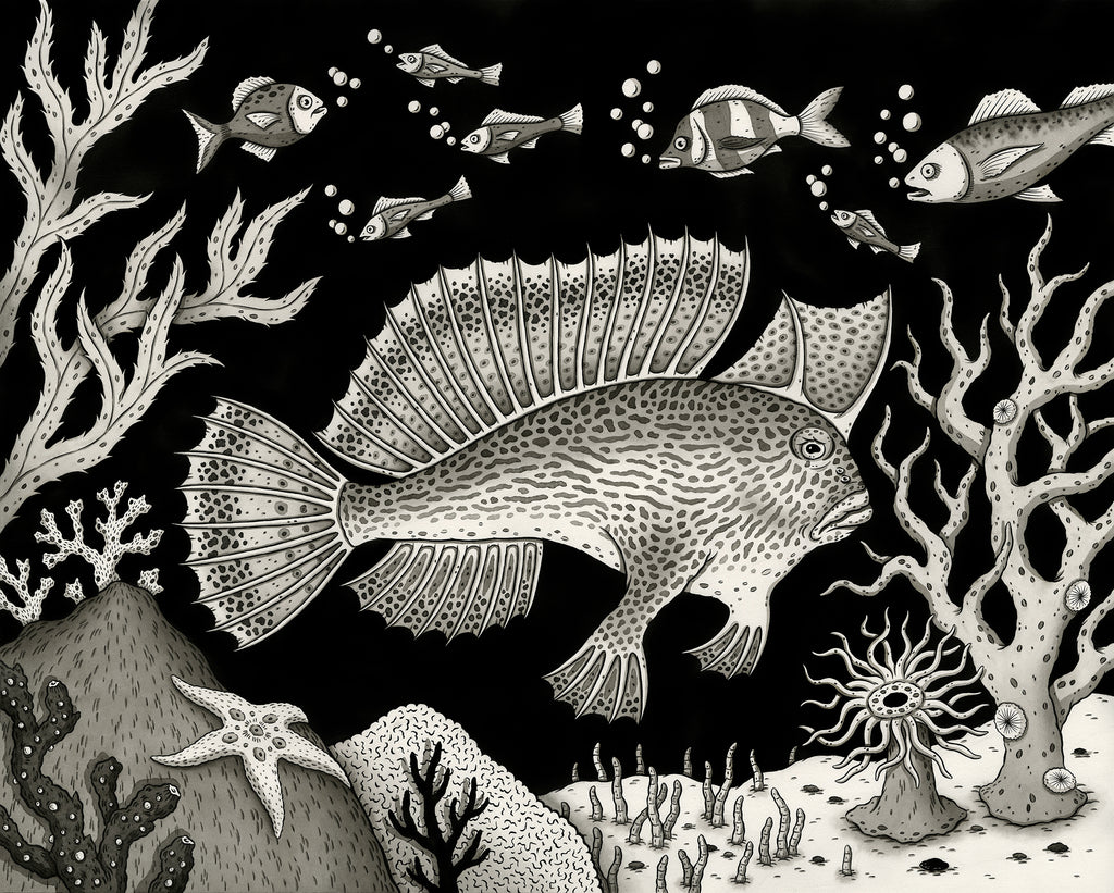 Jon MacNair - Spotted Handfish
