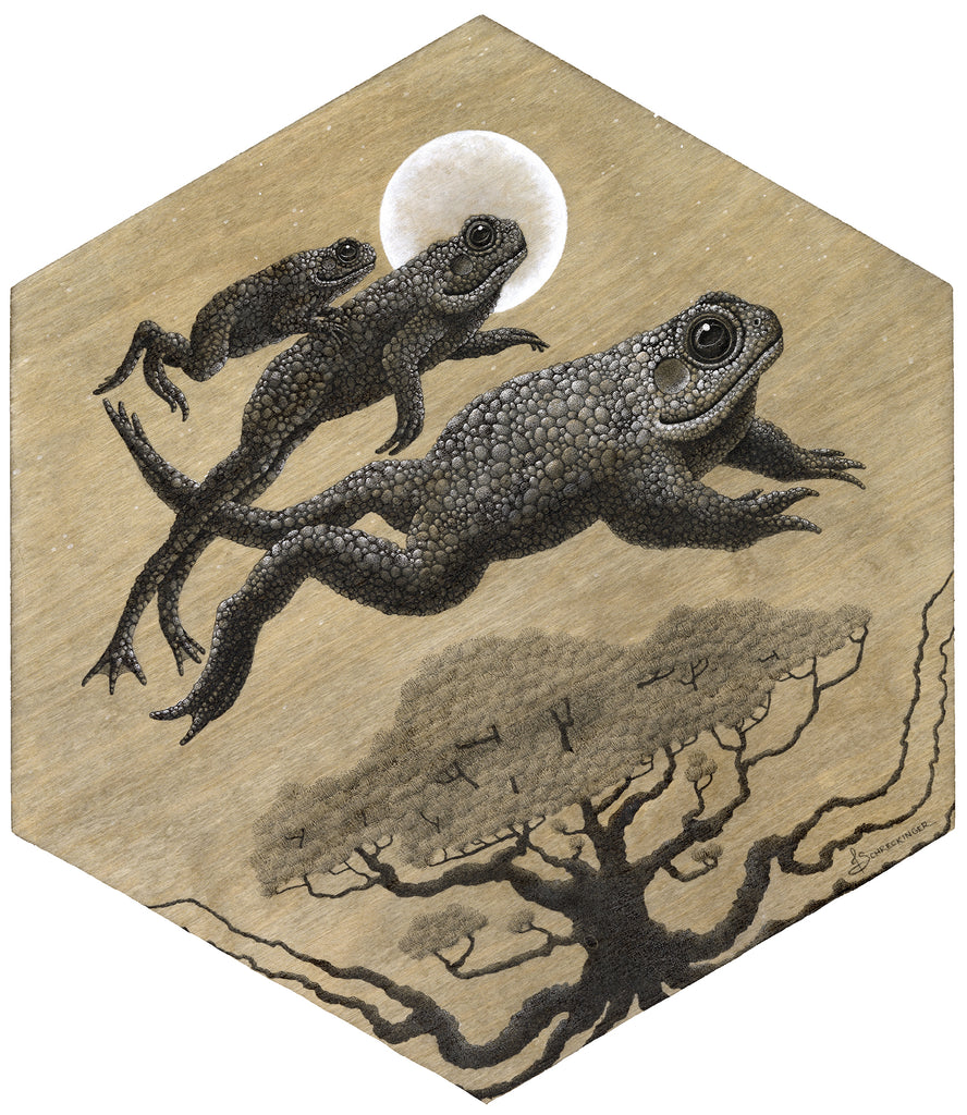 Juliet Schreckinger - The Joyful Toads