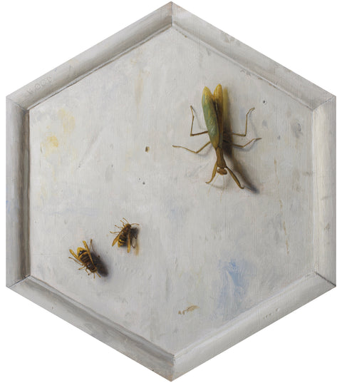 Justin Wood - Praying Mantis & Two Hornets