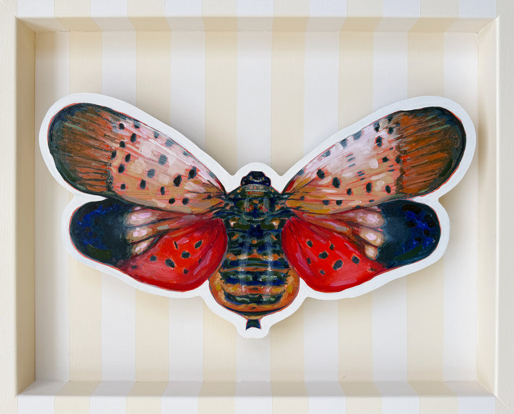 Emily Furr - Lantern Fly