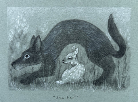 Laura Catherwood - Shelter