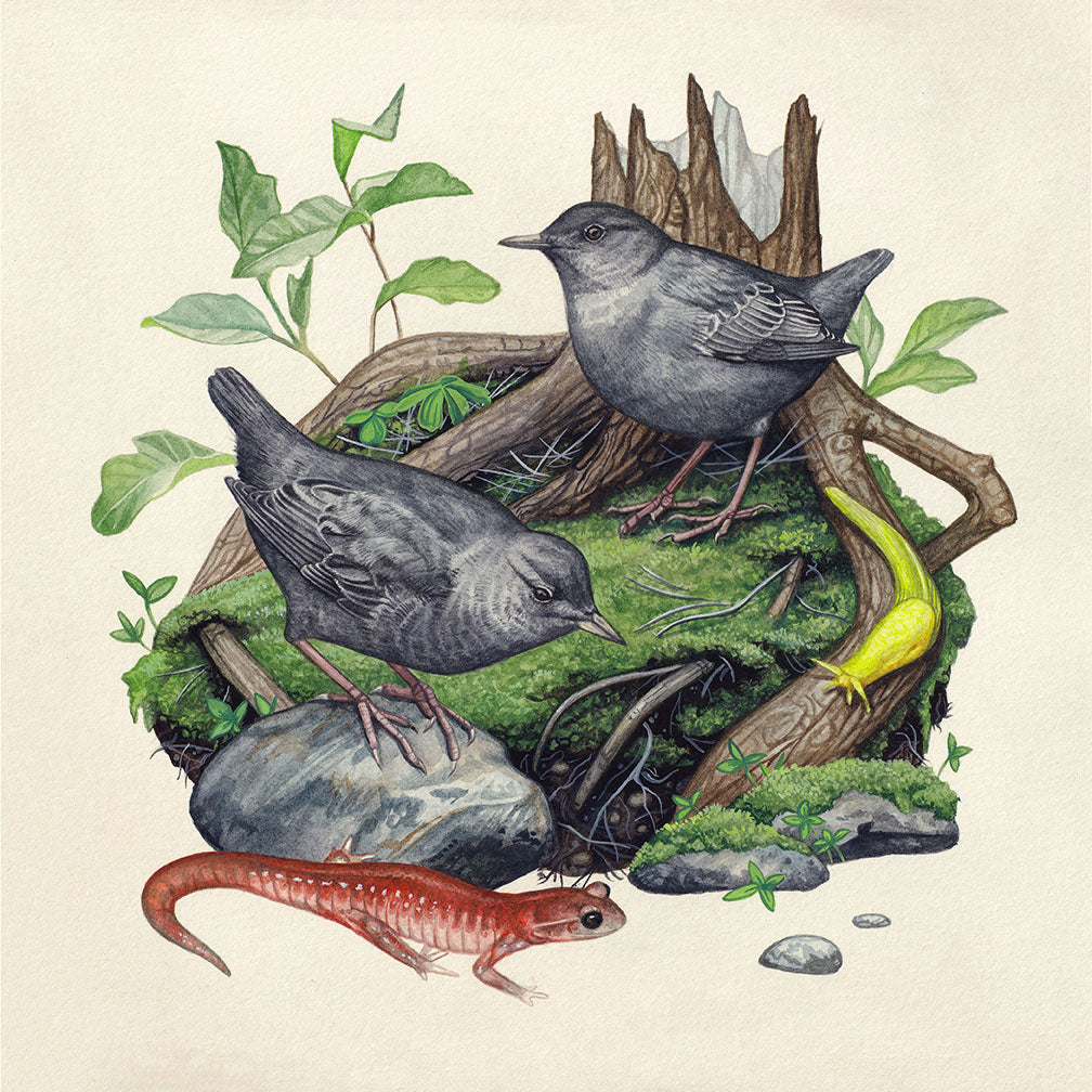 Lauren Richelieu - “Local residents”