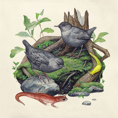Lauren Richelieu - “Local residents”
