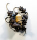 Ross Takahashi - Les souris allumant la flamme