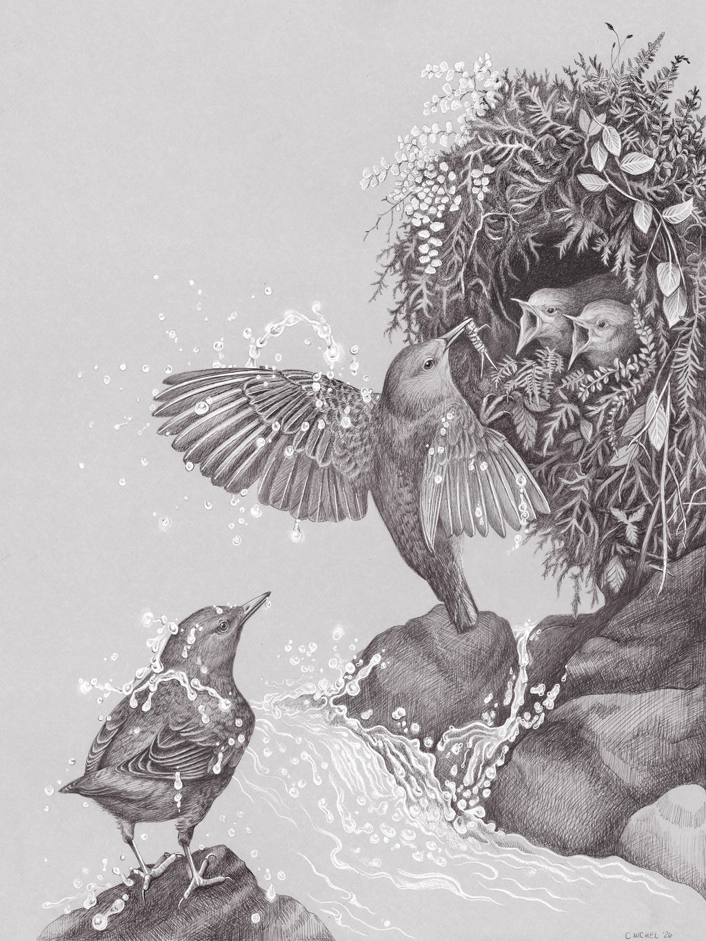 Catie Michel - "As Full and Clear as Falling Water"
