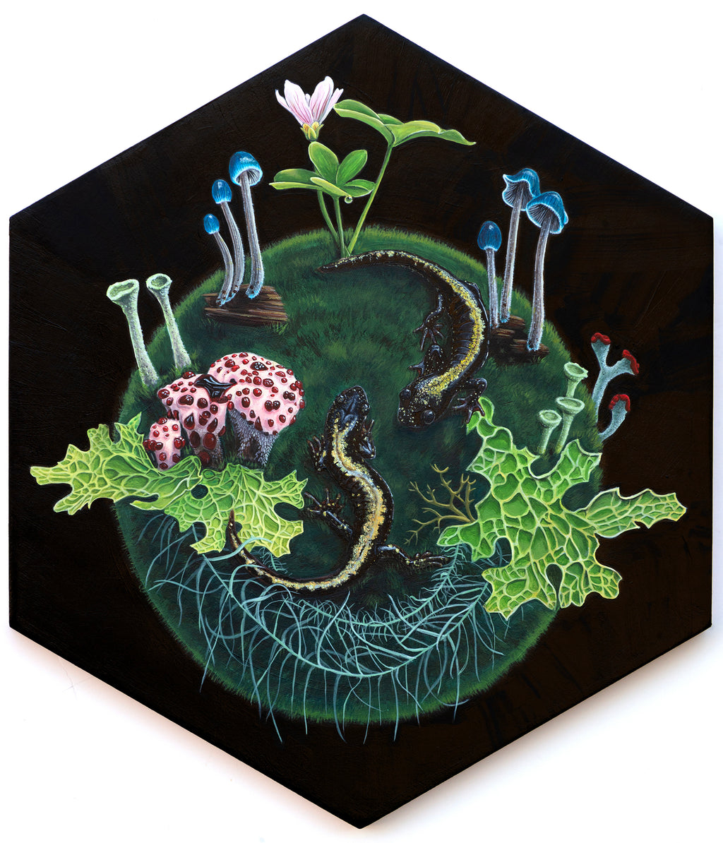 Michelle Mitchell - Courtship